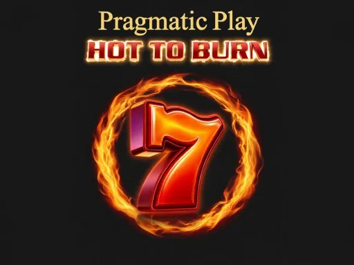 Hot to Burn game cover